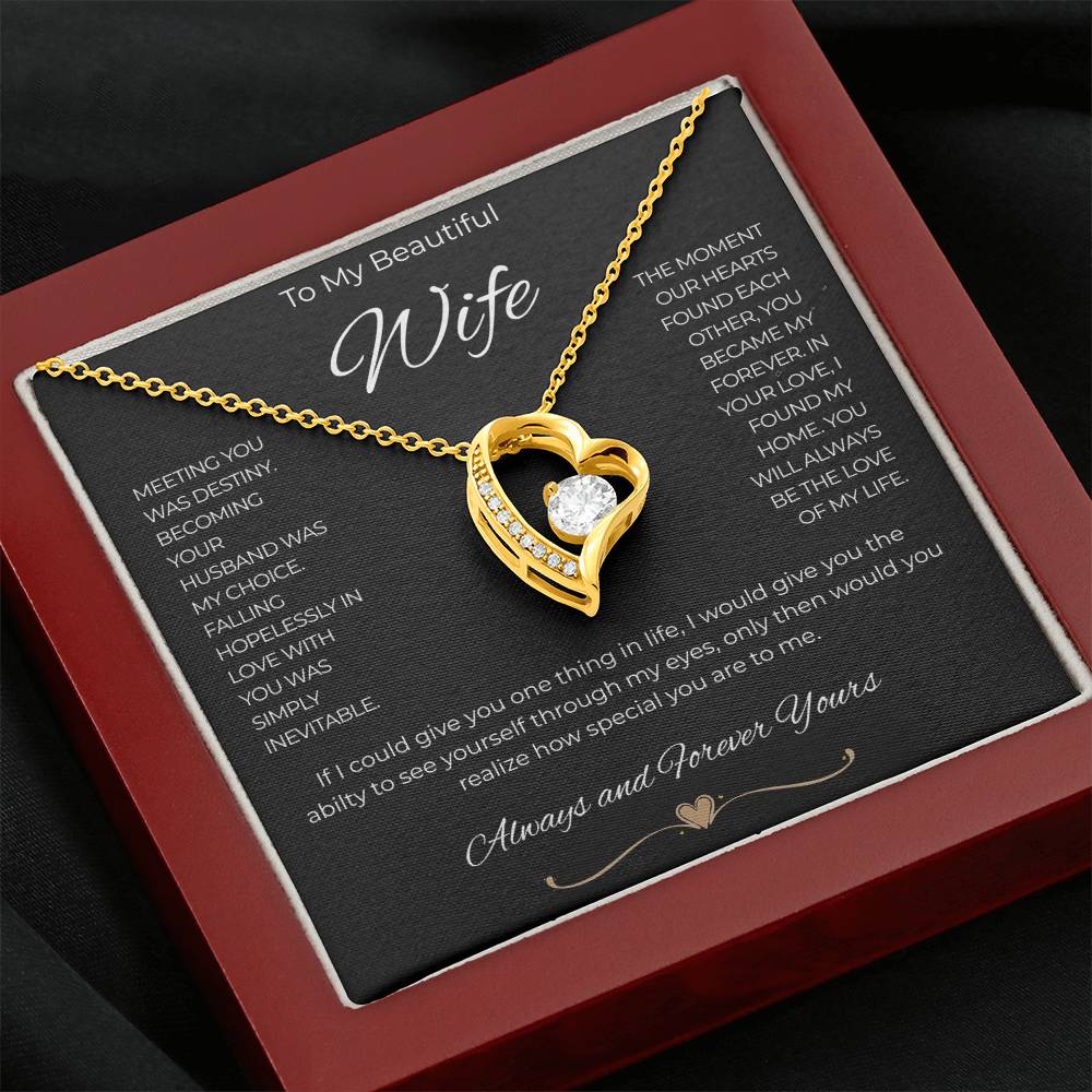 To My Beautiful Wife "Meeting You Was Destiny"