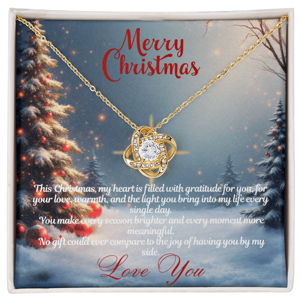 Merry Christmas "You Make Every Season Brighter"