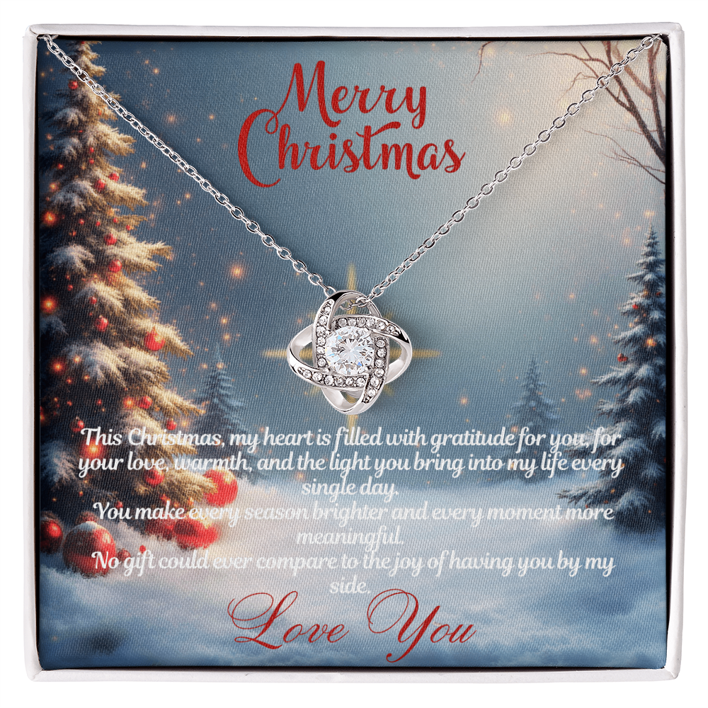 Merry Christmas "You Make Every Season Brighter"