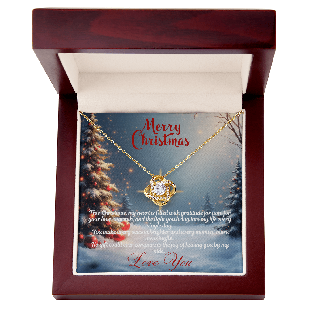 Merry Christmas "You Make Every Season Brighter"