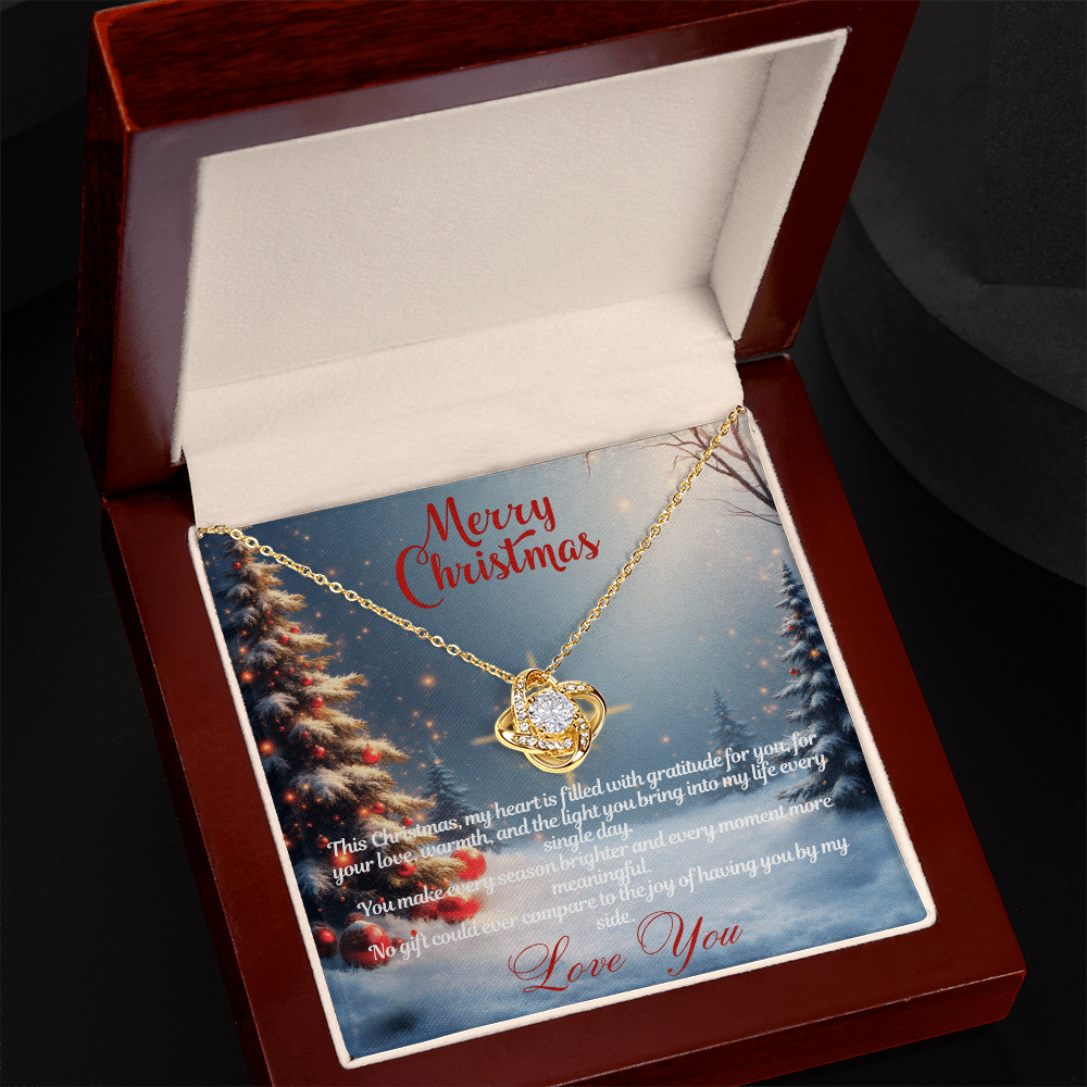 Merry Christmas "You Make Every Season Brighter"