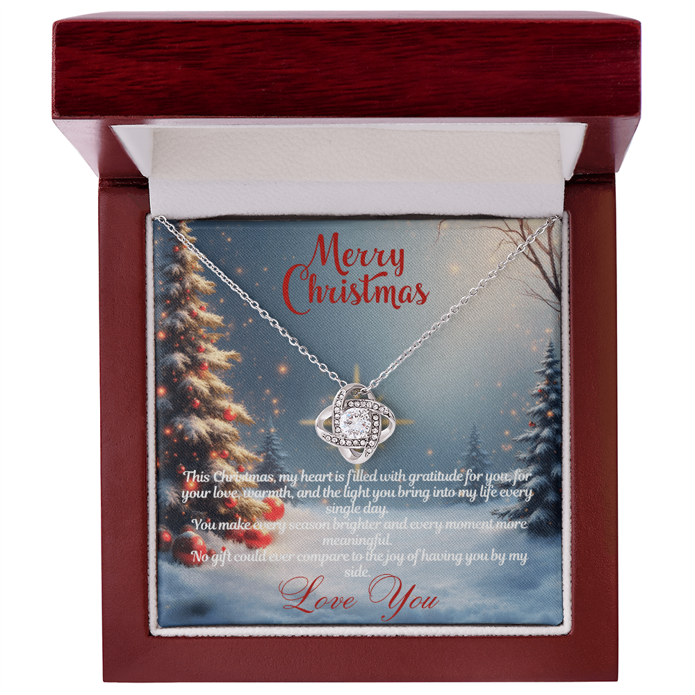 Merry Christmas "You Make Every Season Brighter"